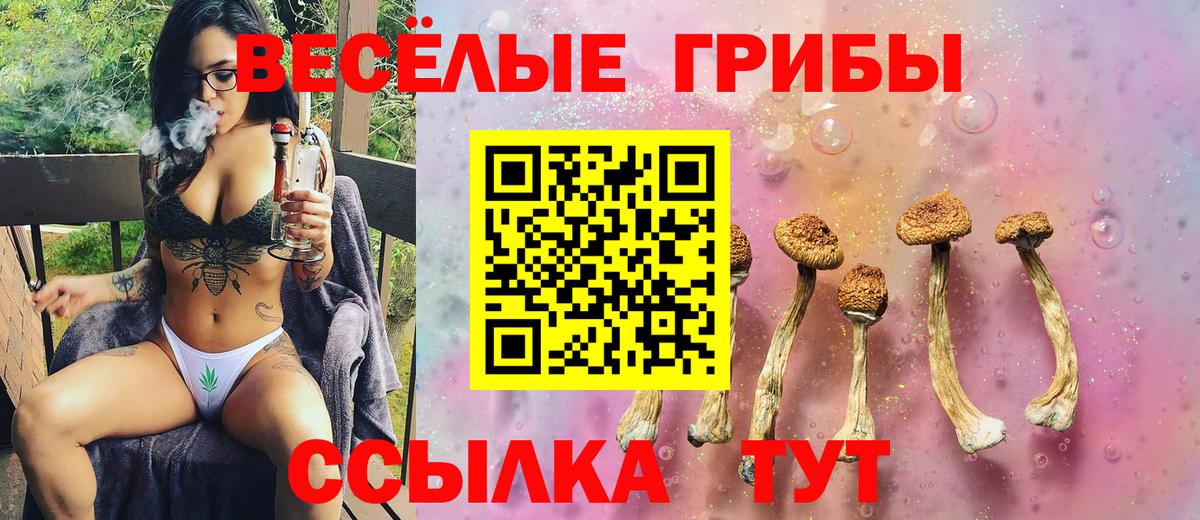 Галлюциногенные грибы Cubensis Трёхгорный
