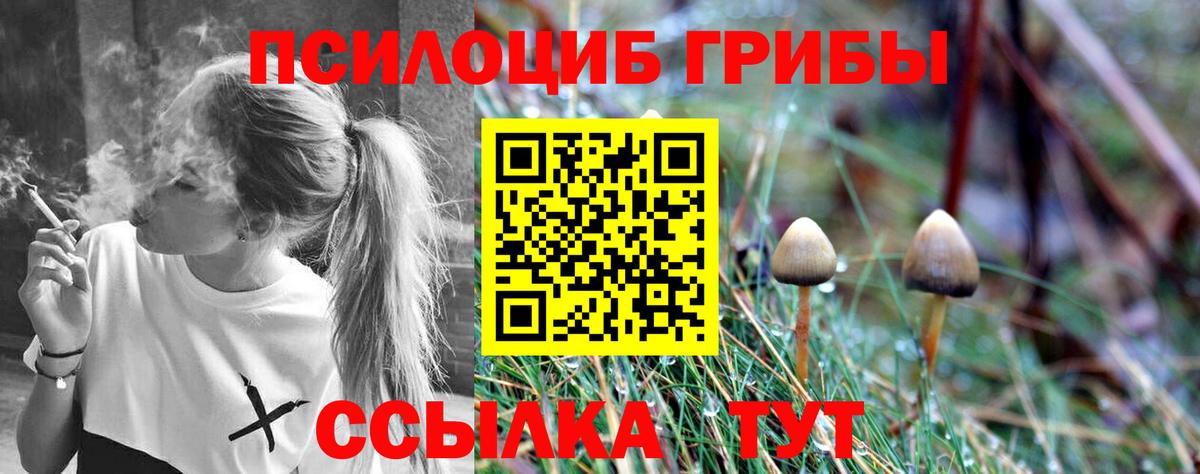 сколько стоит  Псилоцибиновые грибы Psilocybine cubensis  Вход с VPN  Трёхгорный 